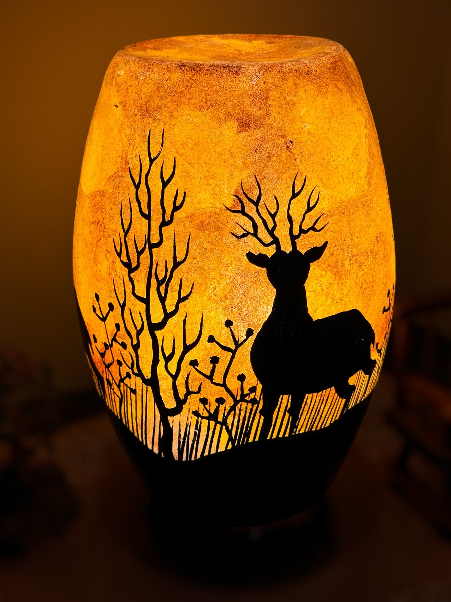 Forest deer